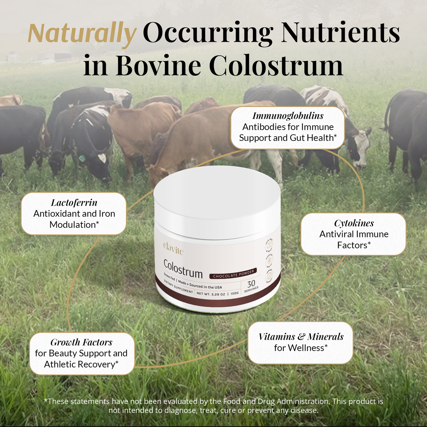 Bovine Colostrum Powder - Chocolate - 30 Servings