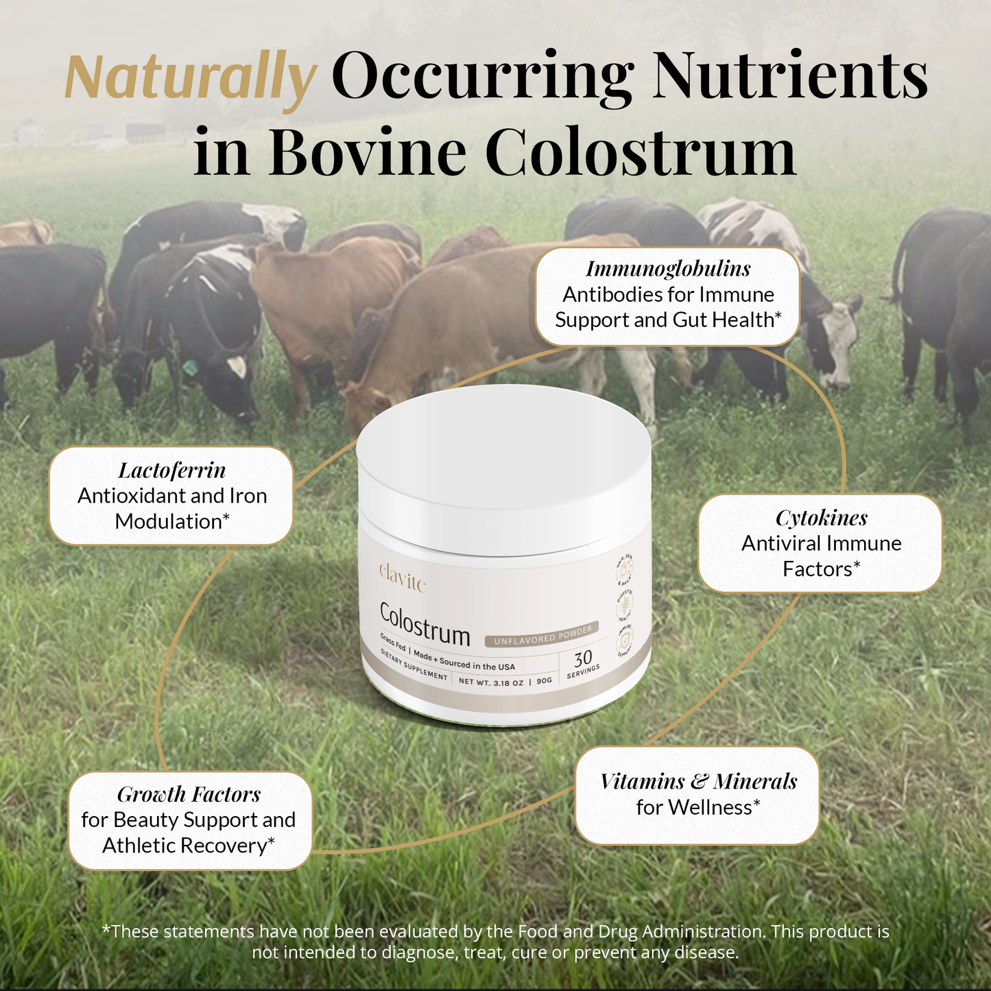Bovine Colostrum Powder - Unflavored - 30 Servings